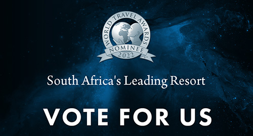 Vote for Us - Four Resorts Nominated for the World Travel Awards