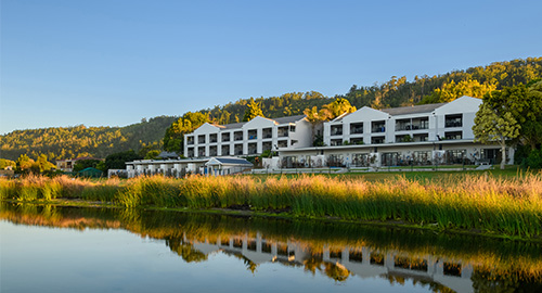 Beekman Group: Growing Greener and Giving Back