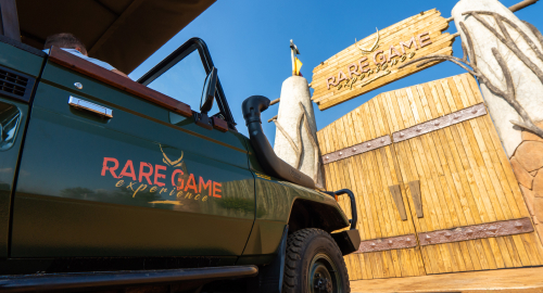 Summer Safari Magic: The Perfect Time for a Family-Friendly Wildlife Escape