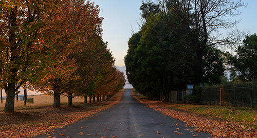 Smoother Roads Ahead to Cayley Mountain Resort