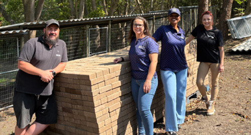 How Beekman Group’s Animal Welfare Drive Helped Bring Safer Shelter to Harmony Hill